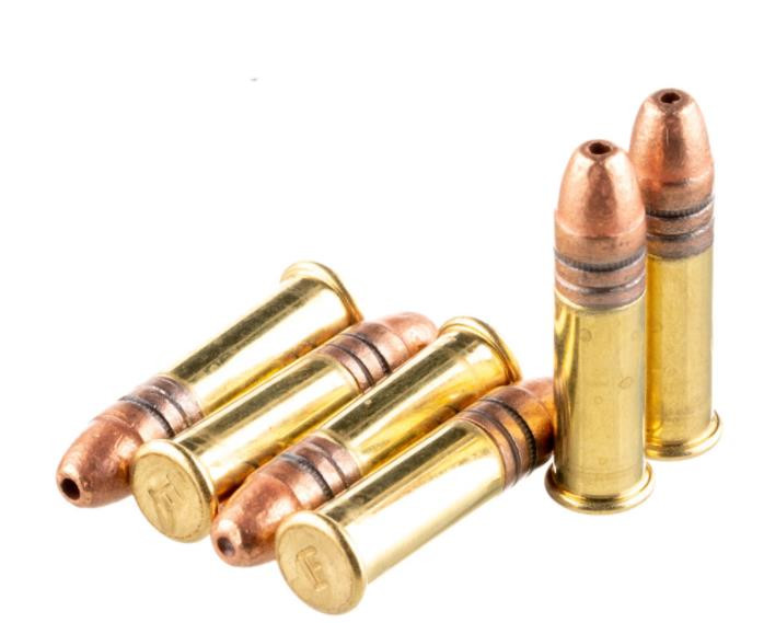 Federal .22 LR, 36 Grain, Copper Plated Hollow Point